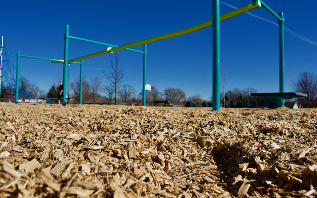 Nature'sPlus playground wood mulch